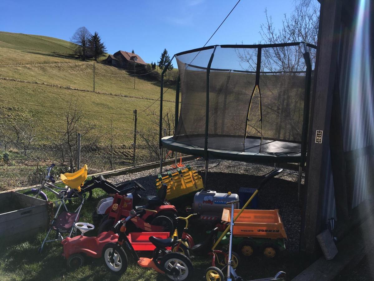 3,5 Zimmerferienwohnung Schwalbenaescht Rueeggisberg Exteriör bild